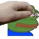 pepe_pet
