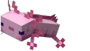 axolotl axolotl