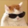 catcool