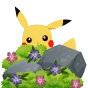 pikalurkin