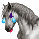 CammieLOL