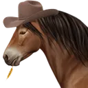 Exmoorcowboy Exmoorcowboy
