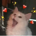 Happycat happycat Discord Emoji