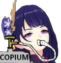 RaidenCopium