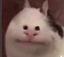 bruh
