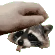 TPraccpet