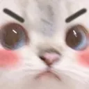 madCat