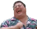 nedrylaugh