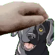 LabBPat LabBPat