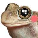 happybombi