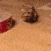 run
