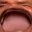OmegaKEKW
