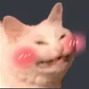 Blushcat blushCat Discord Emoji