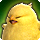 FatChocobo Discord emoji