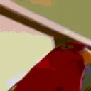 birdlaugh