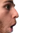 yogevPog yogevPog