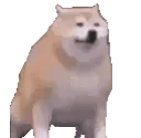 As_DogLeave_retrasados As_DogLeave_retrasados