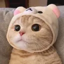 catKittystareeeee