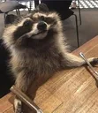 TPdinnertime