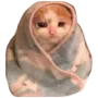sadcat