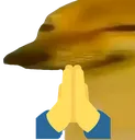 shibaPray
