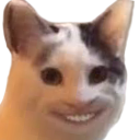 ANIwcatocreep Discord emoji