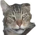 grt_pitsinos Discord emoji