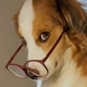 ks_hmmm Discord emoji