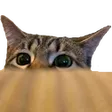 komali2Lurk