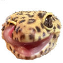 winklik Discord emoji