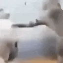 catfight catfight