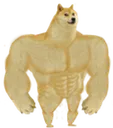 dogeMuscle dogeMuscle