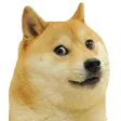 doge