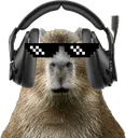 Capygaming