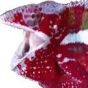 ChameleonPog Discord Emoji