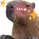 Capyflushed Capyflushed