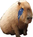 Capycry