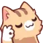 nekocatok