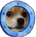 Poddog