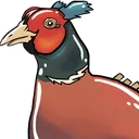 Pheasant Pheasant