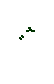 appear
