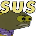 SUS