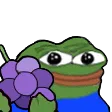 peepogrape Discord Emoji