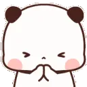 pandasorry