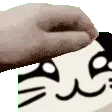 rooNyaPat