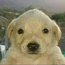 __