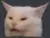 Confusedcat confusedCat Discord Emoji
