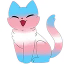 TransCat