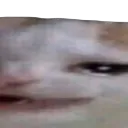 smilecatW2
