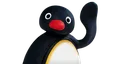 pinguhi